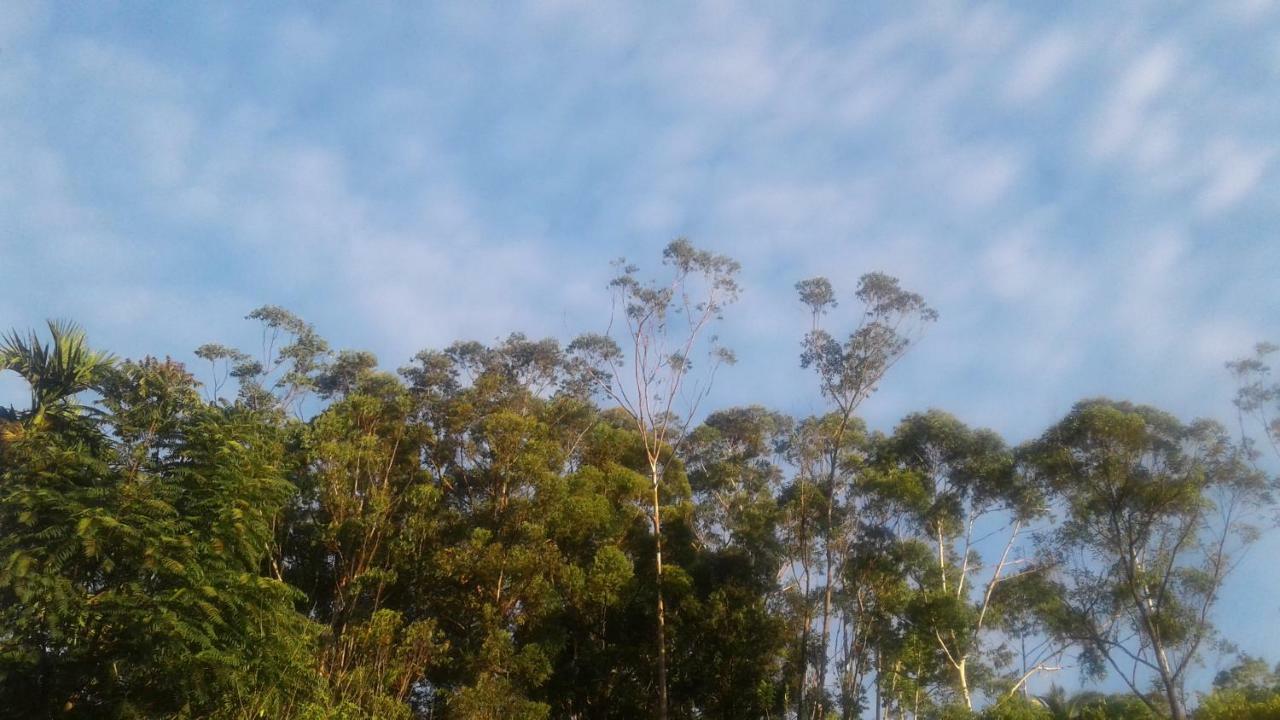 Racy Nature
