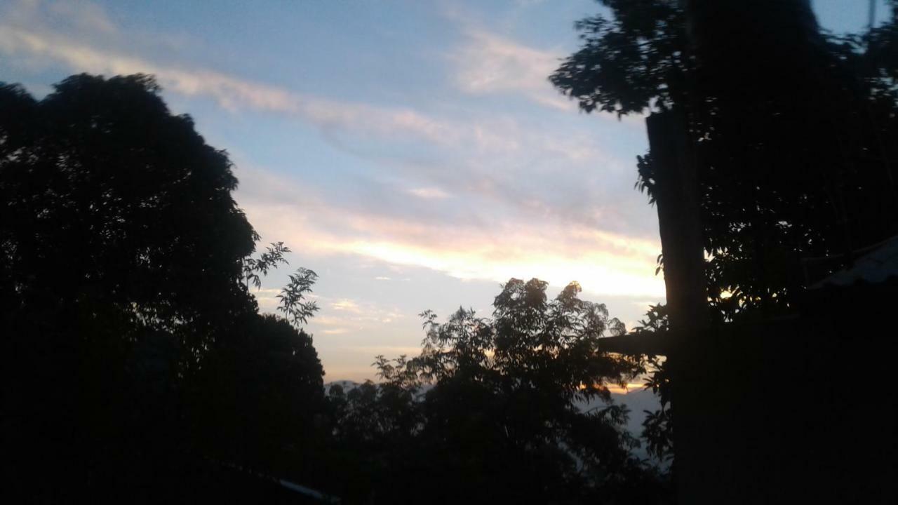 Racy Nature