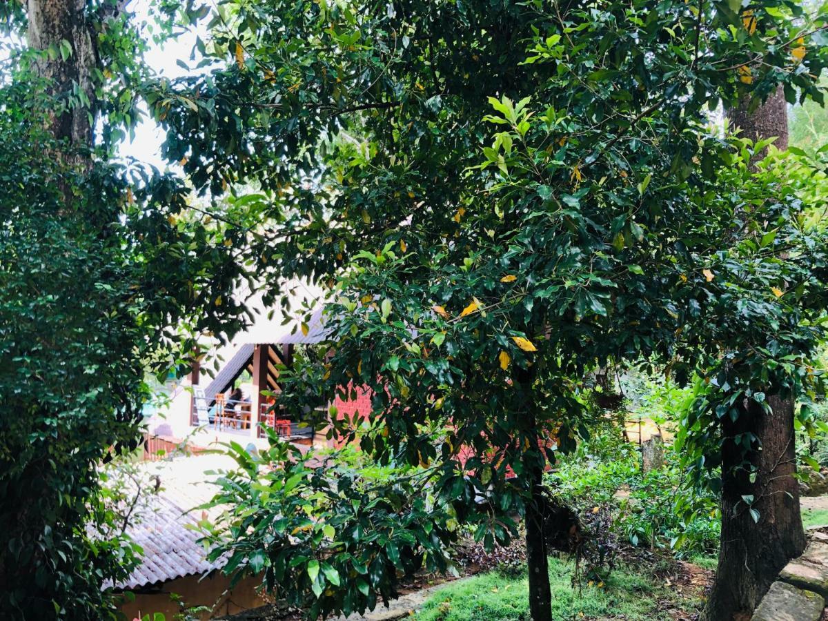 Little Folly Guest house