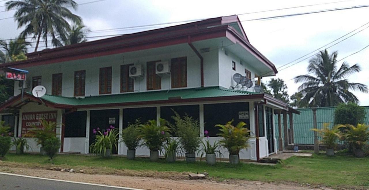 Anura Guest 3*