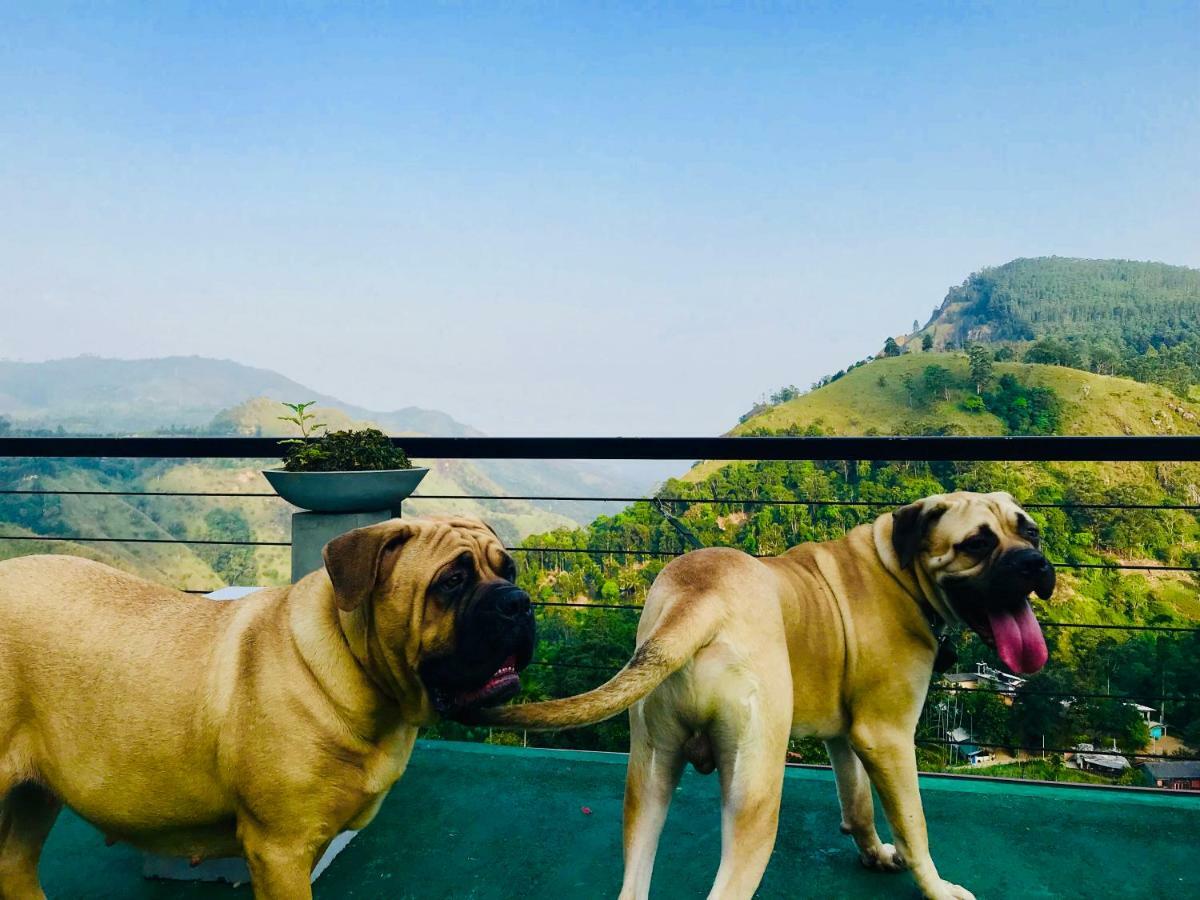 Guest house Hide View *