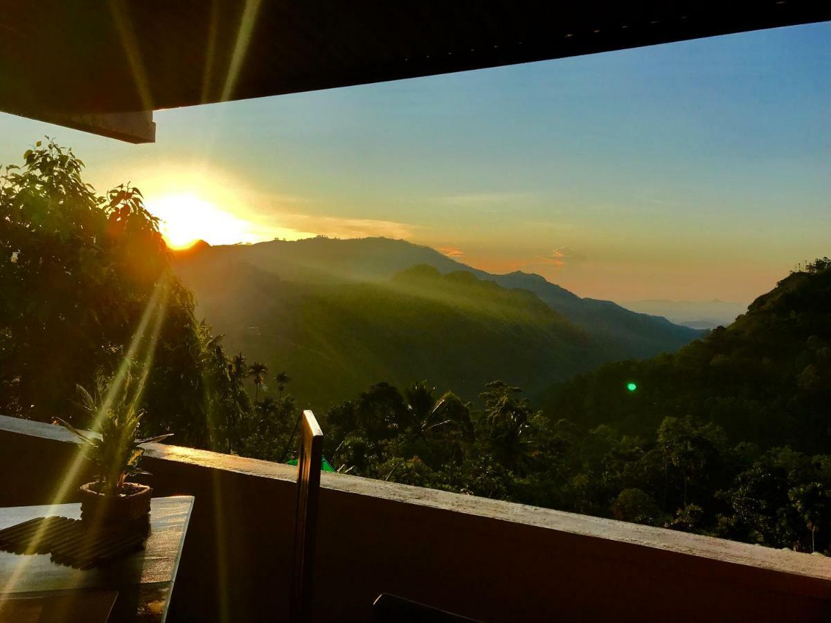 Hide View * Ella