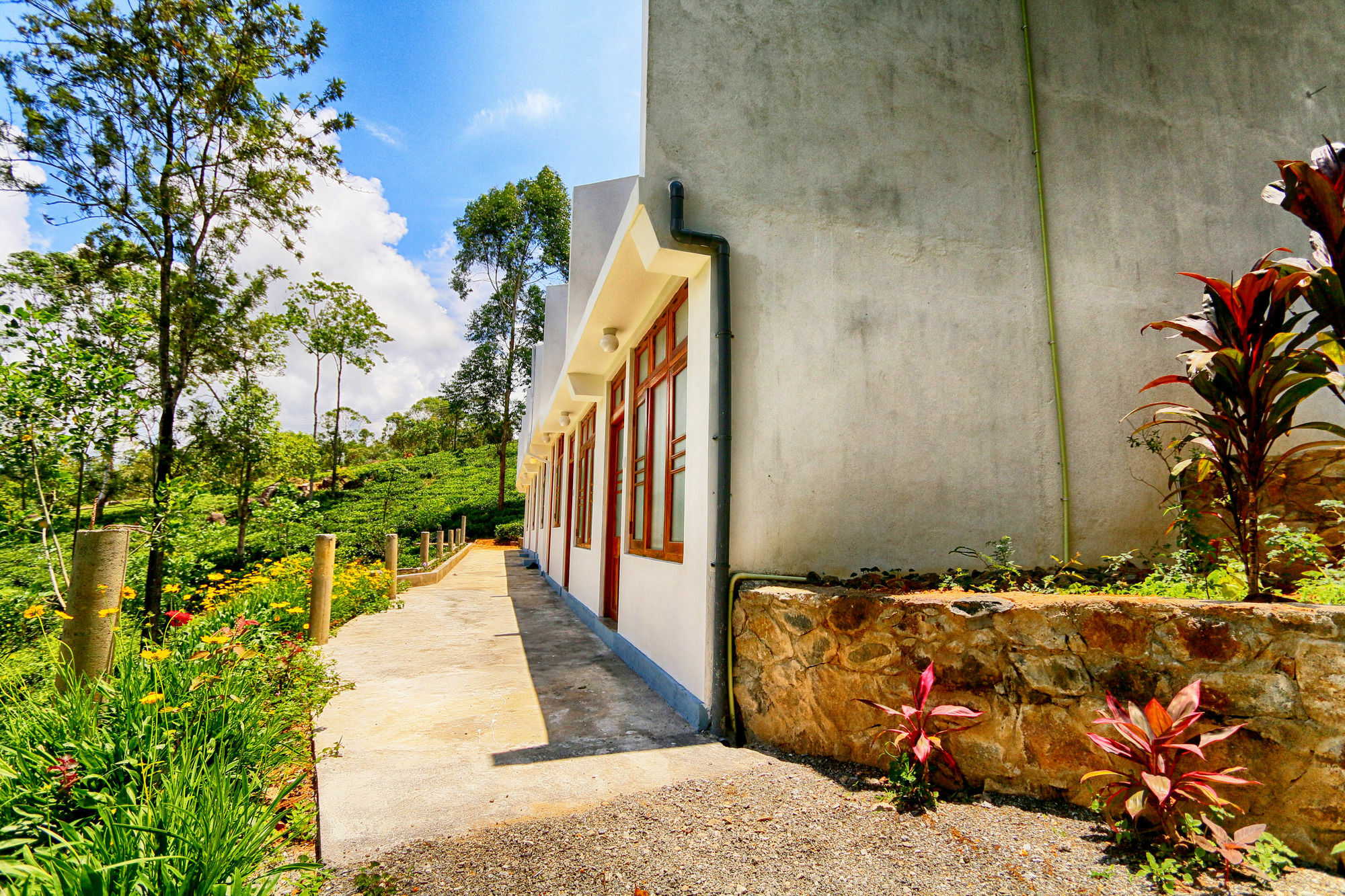 The Tea Tree 4*