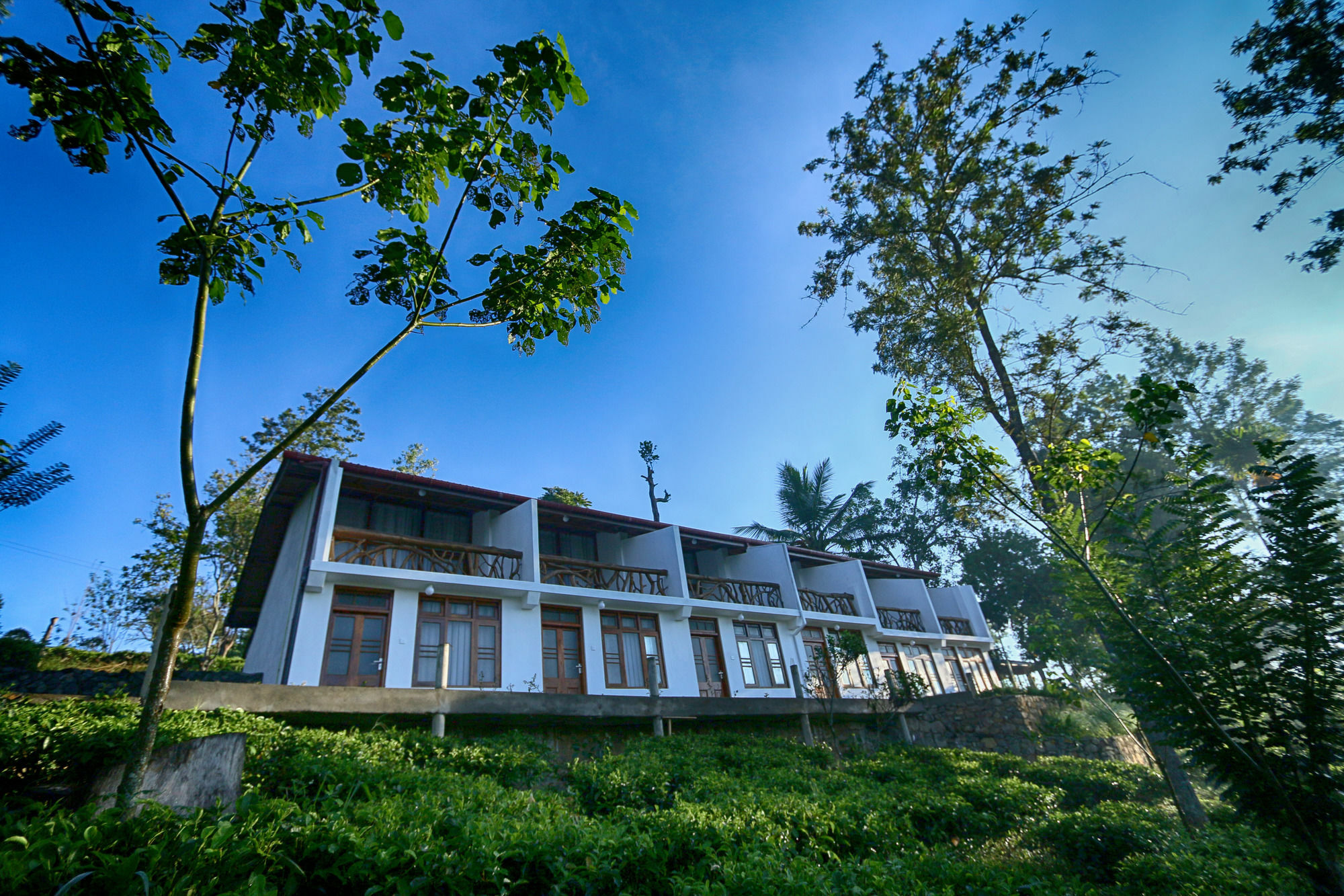 Resort The Tea Tree Ella