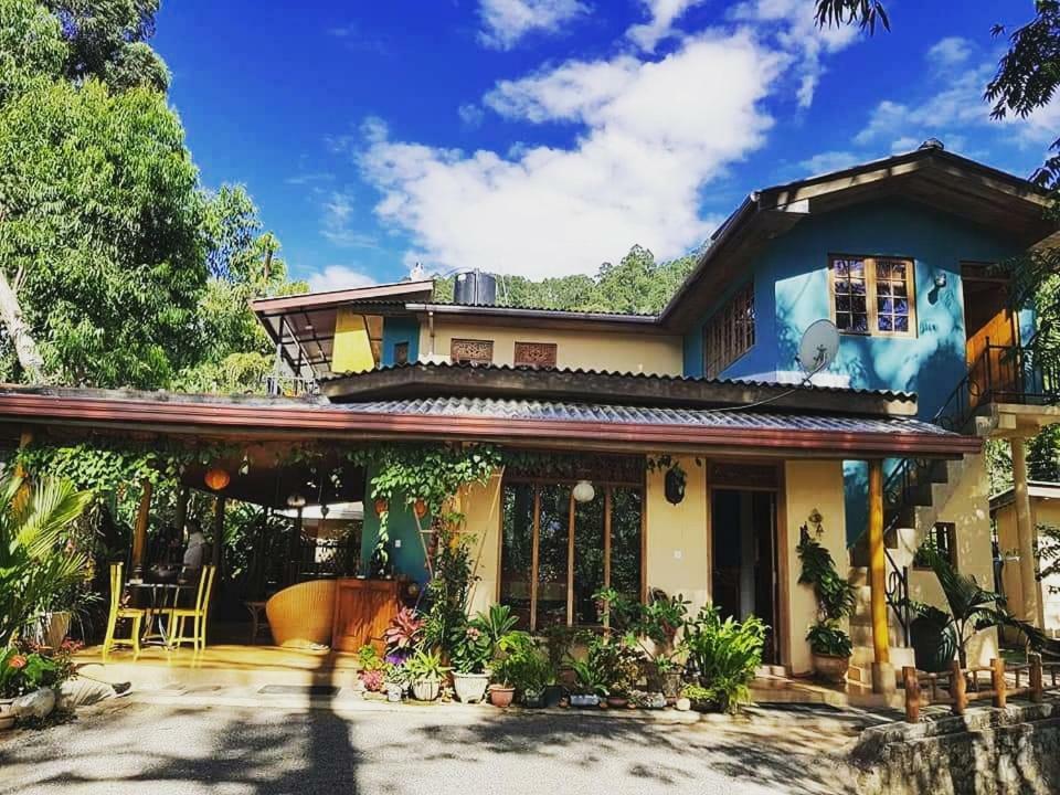 Waterfalls Homestay Bed & Breakfast