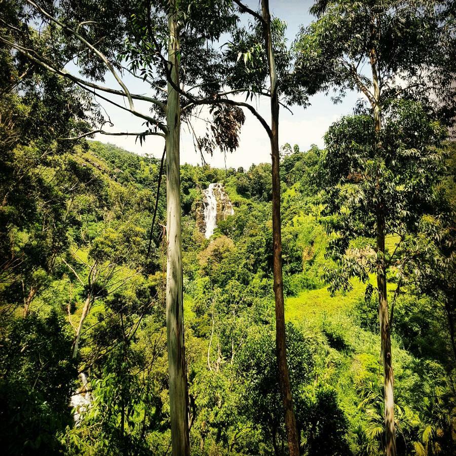 Waterfalls Homestay Bed & Breakfast