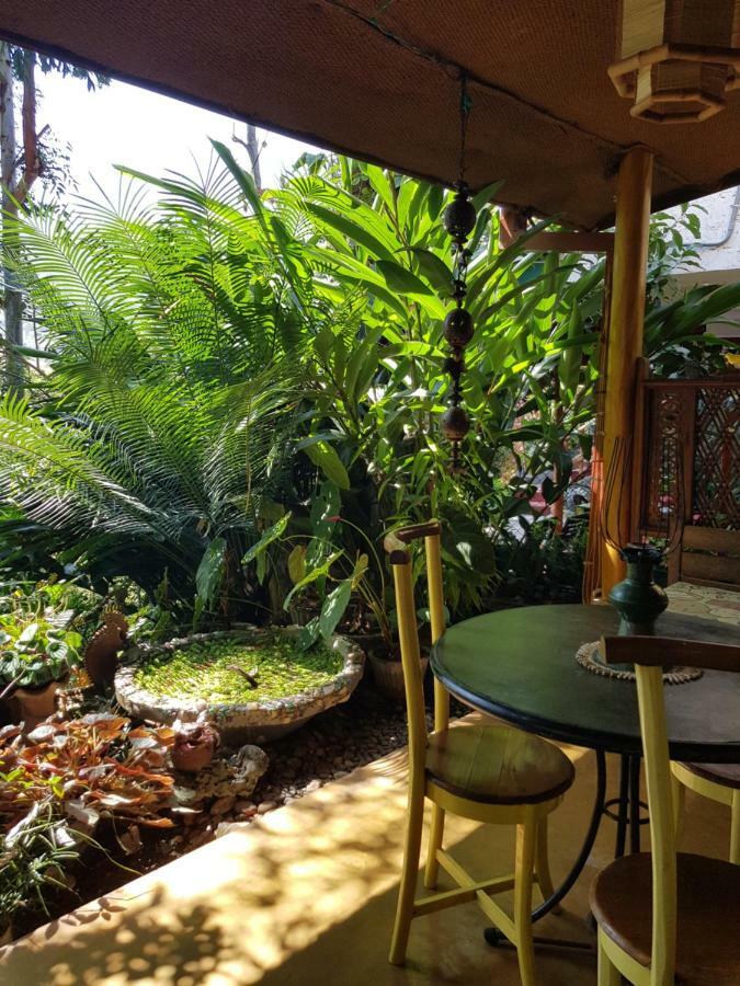 Waterfalls Homestay * Ella