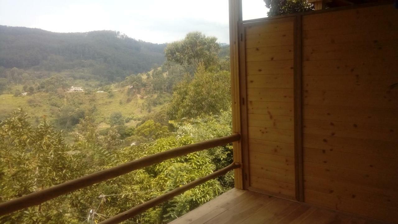 Daban Homestay