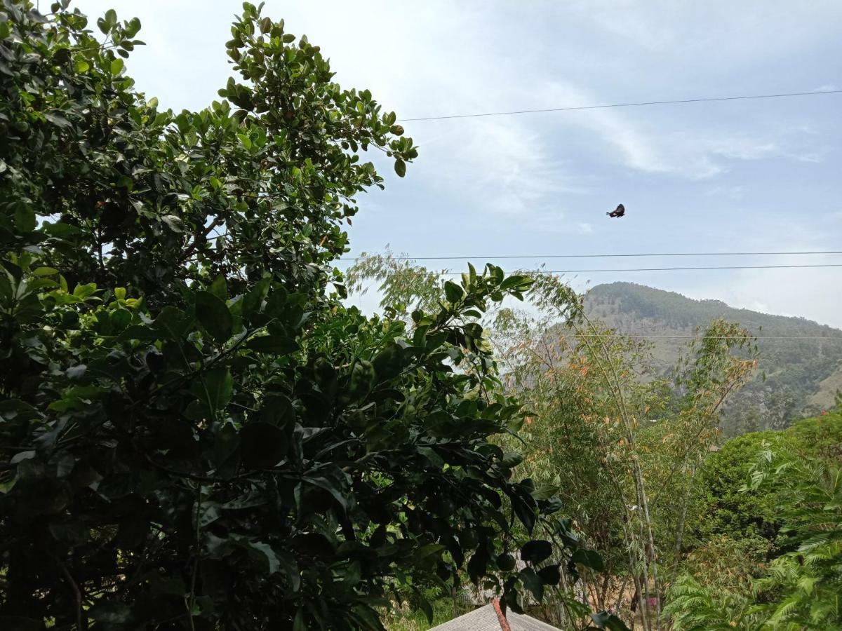 Little Paradise Homestay *