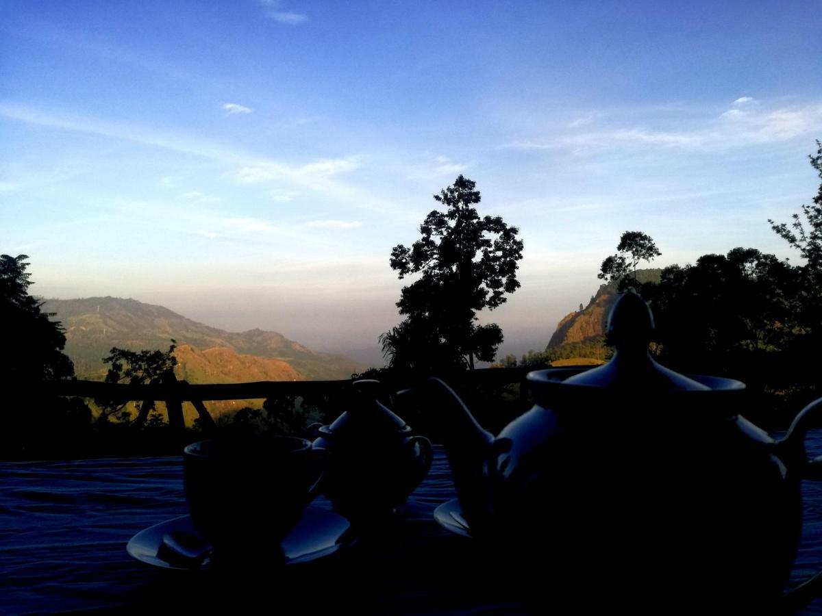Guest house Pearl View