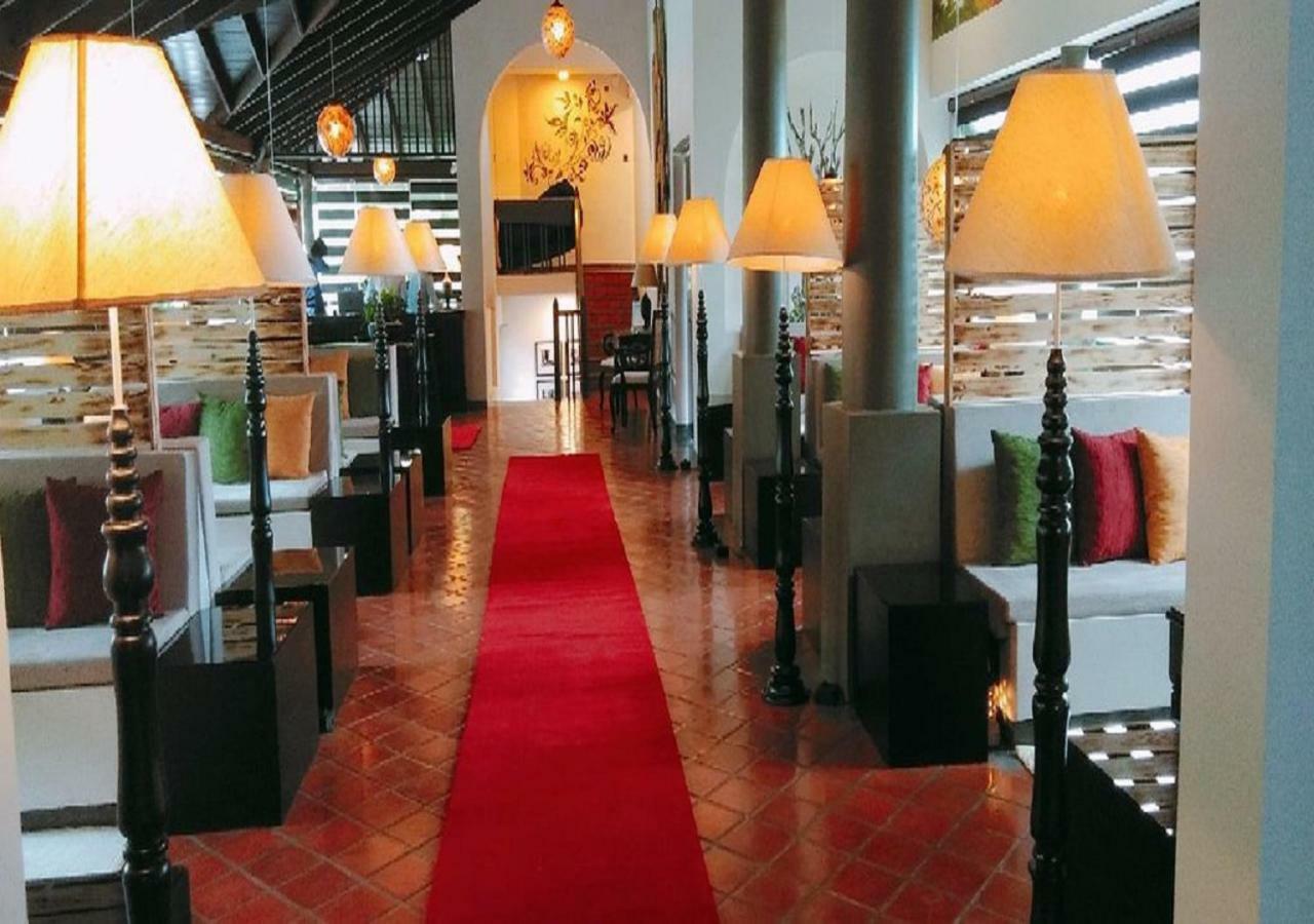 Hotel Ekho