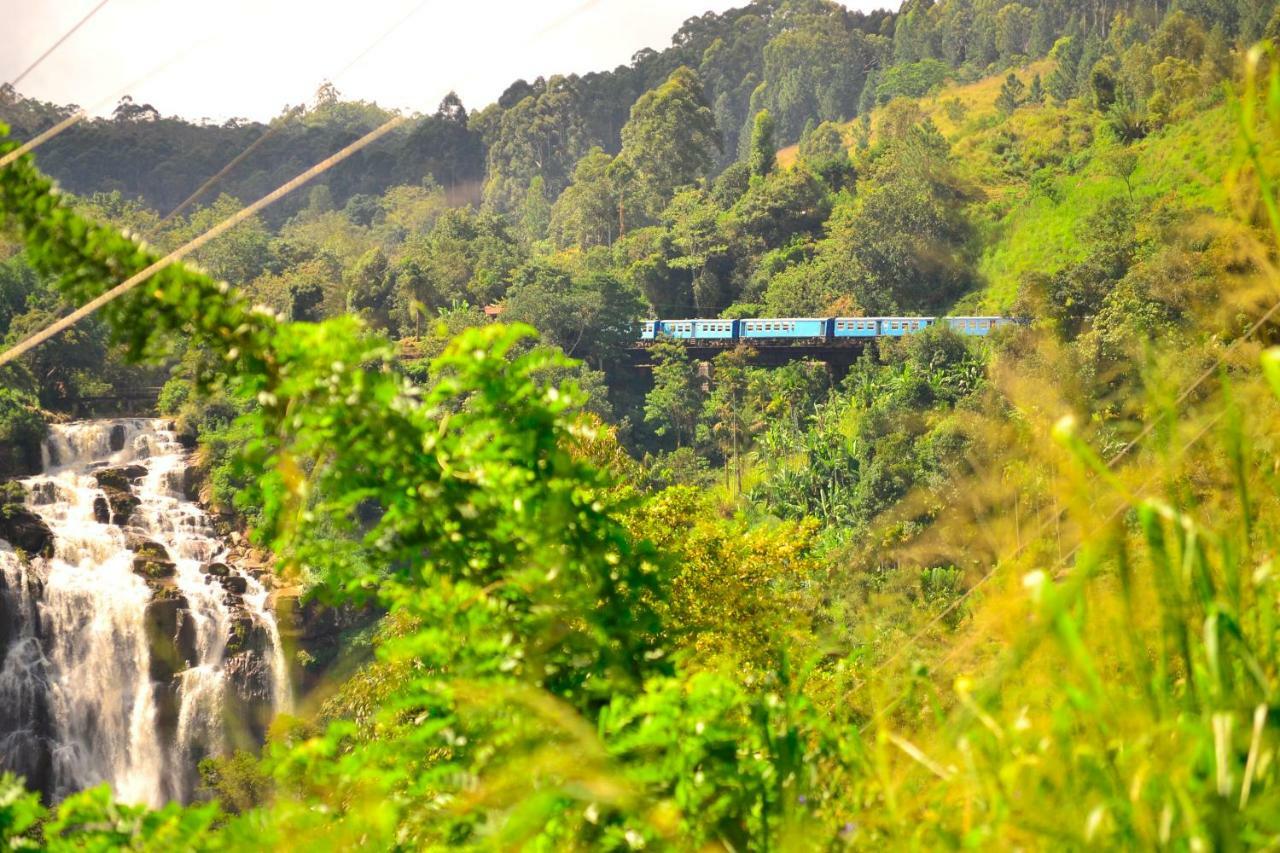 Rose Dale Homestay Ella