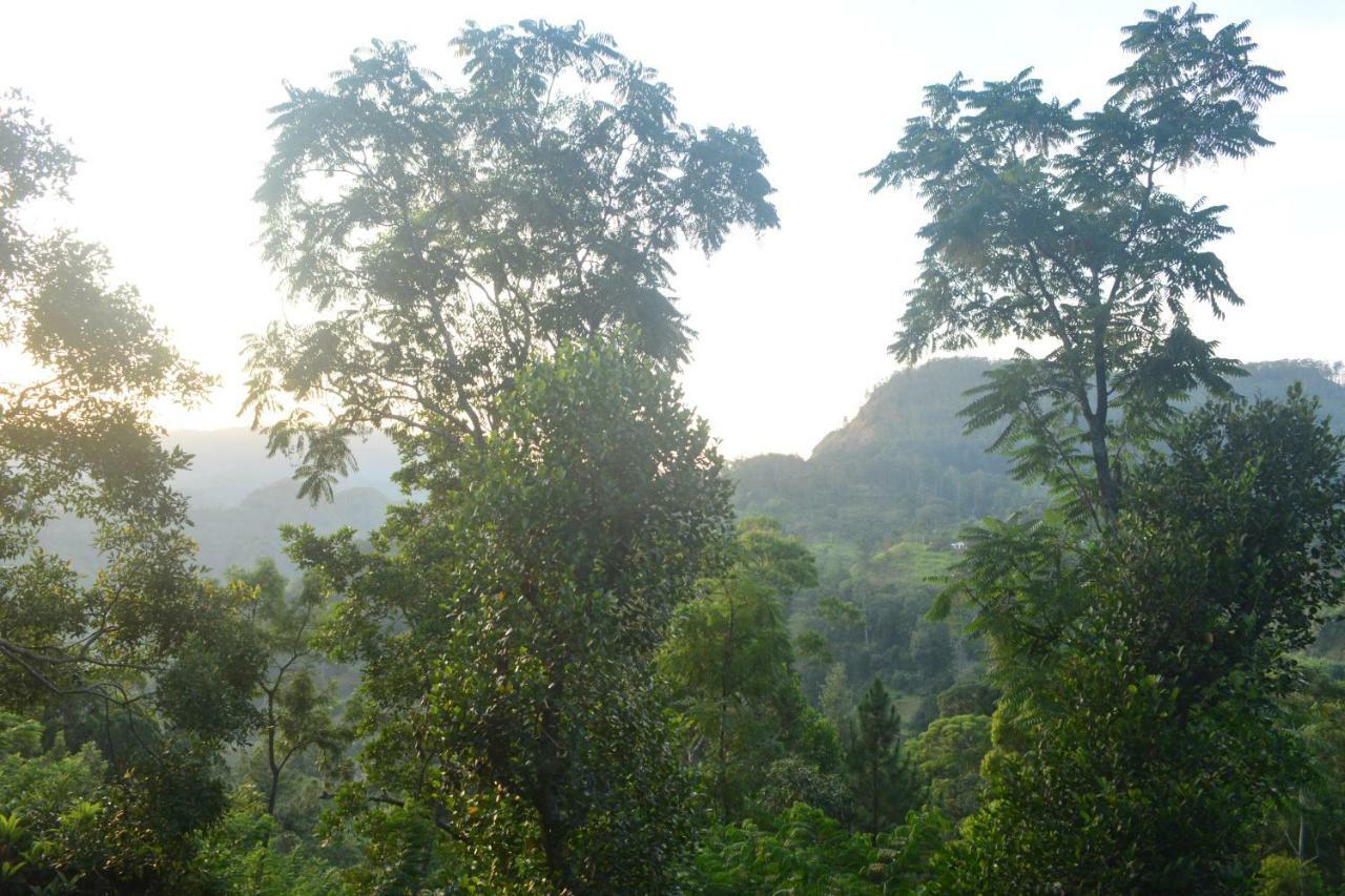 Racy Nature Villa Ella
