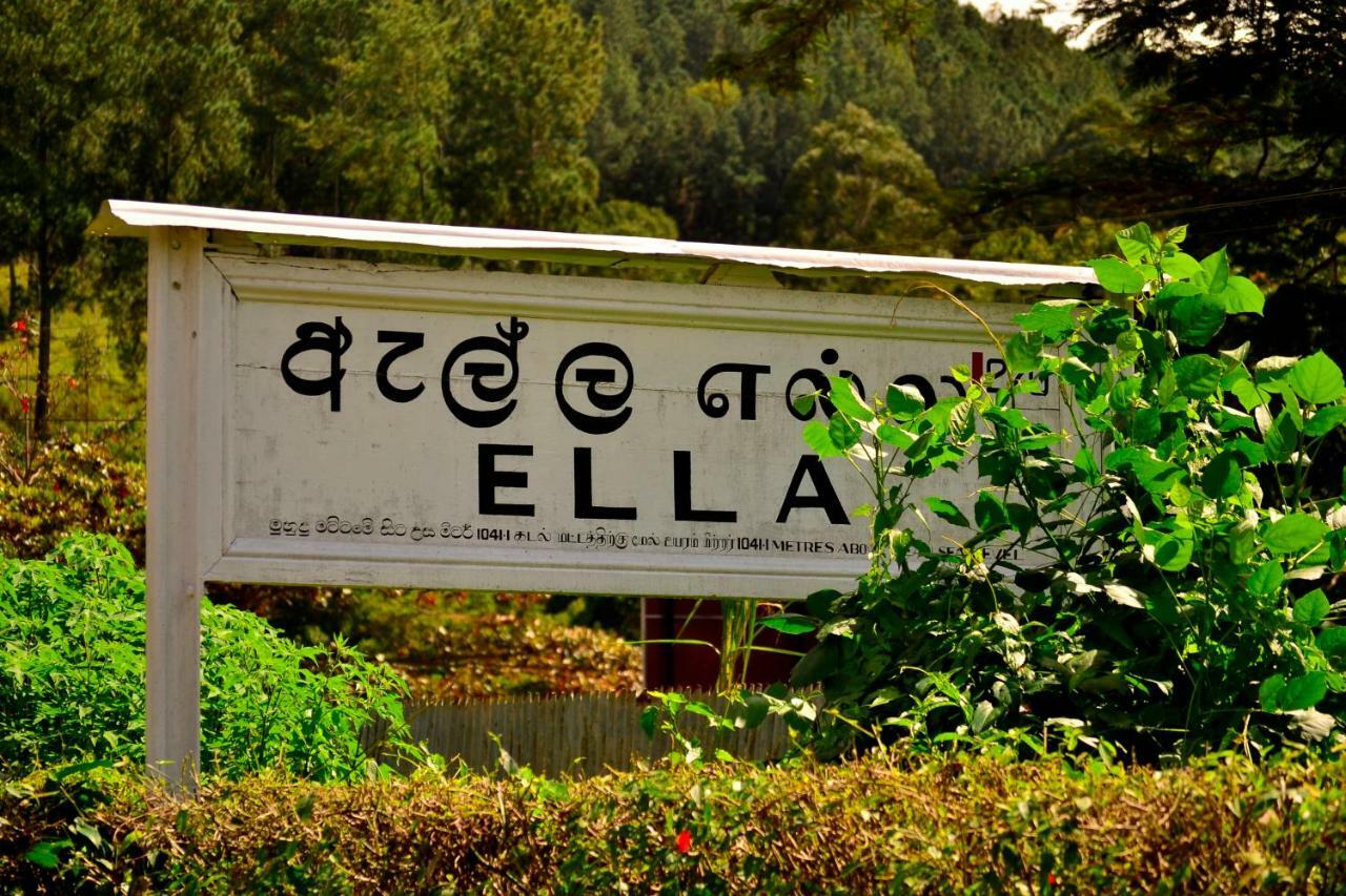 Rose Dale Ella