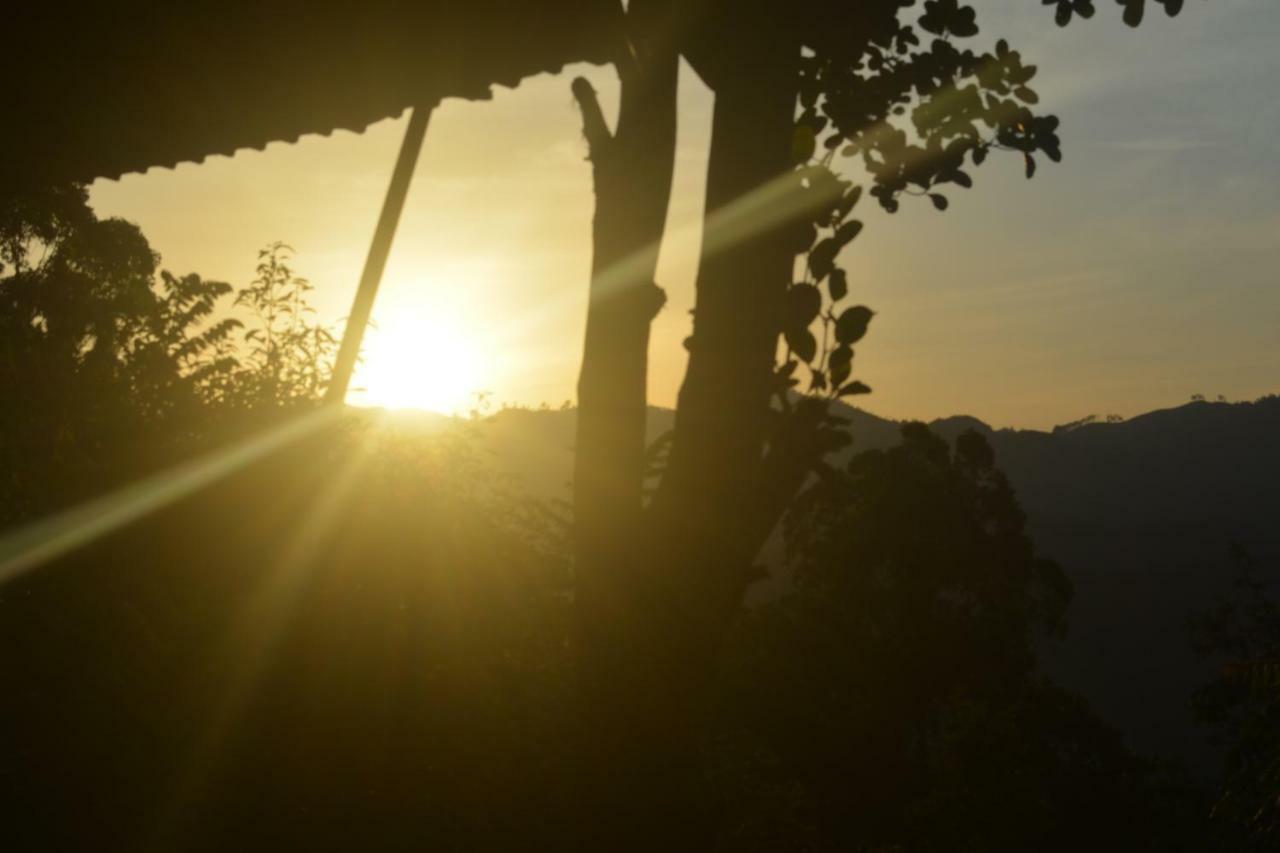 Racy Nature Villa Ella