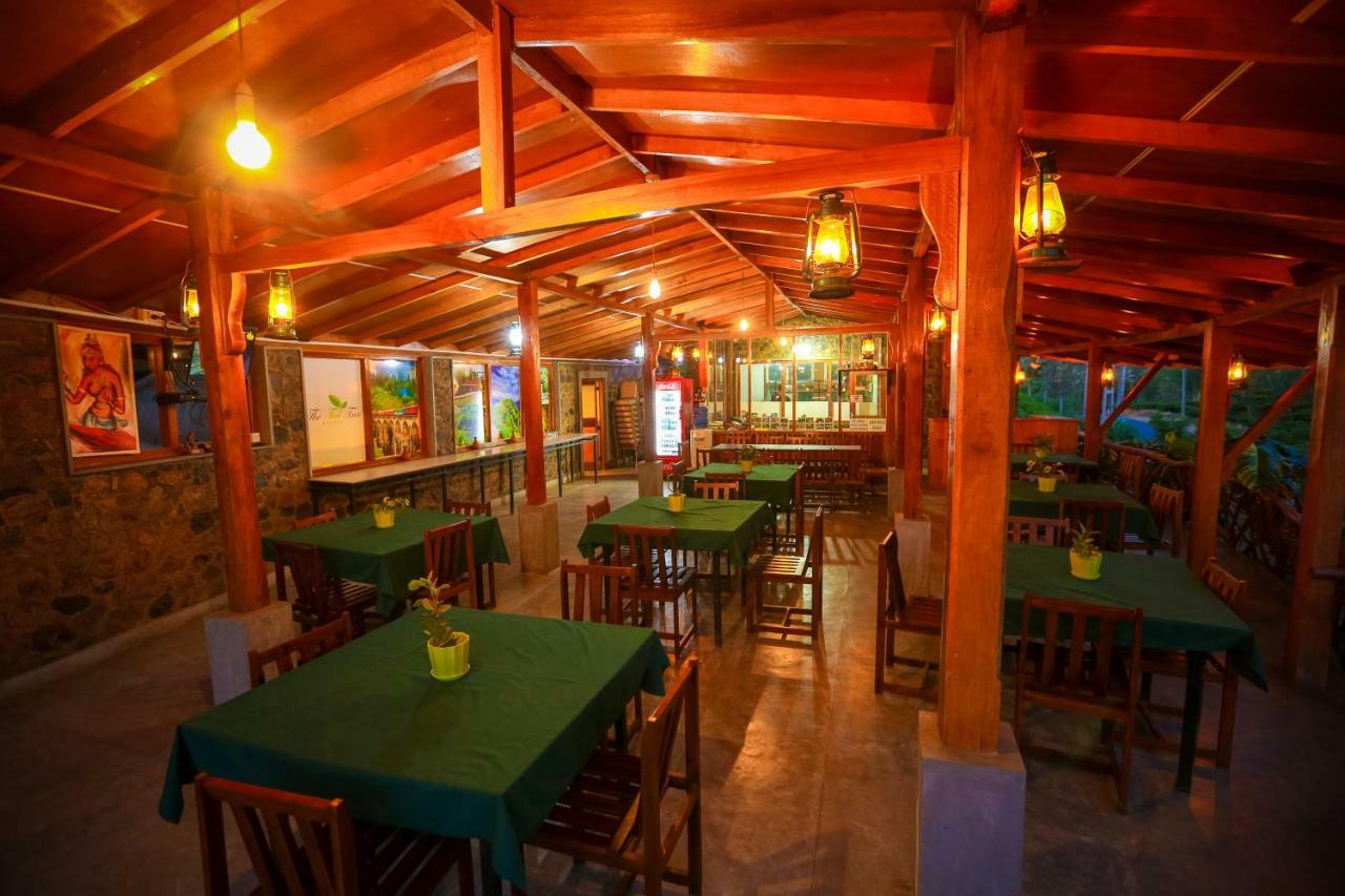 The Tea Tree 4*