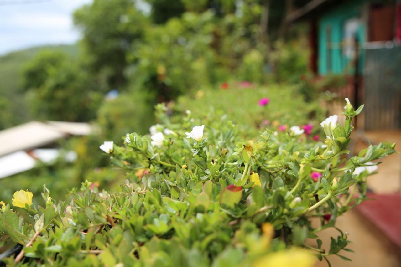 Homestay Secret Nest Ella