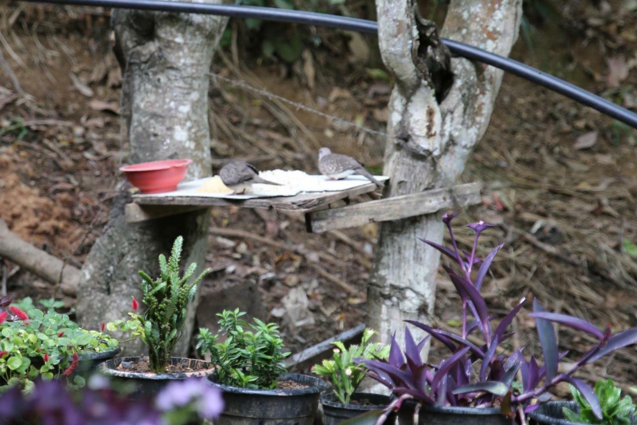 Secret Nest Homestay