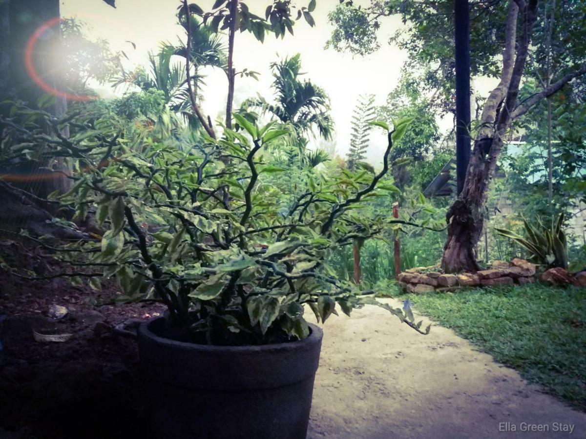 Ella Green Stay Guest house *
