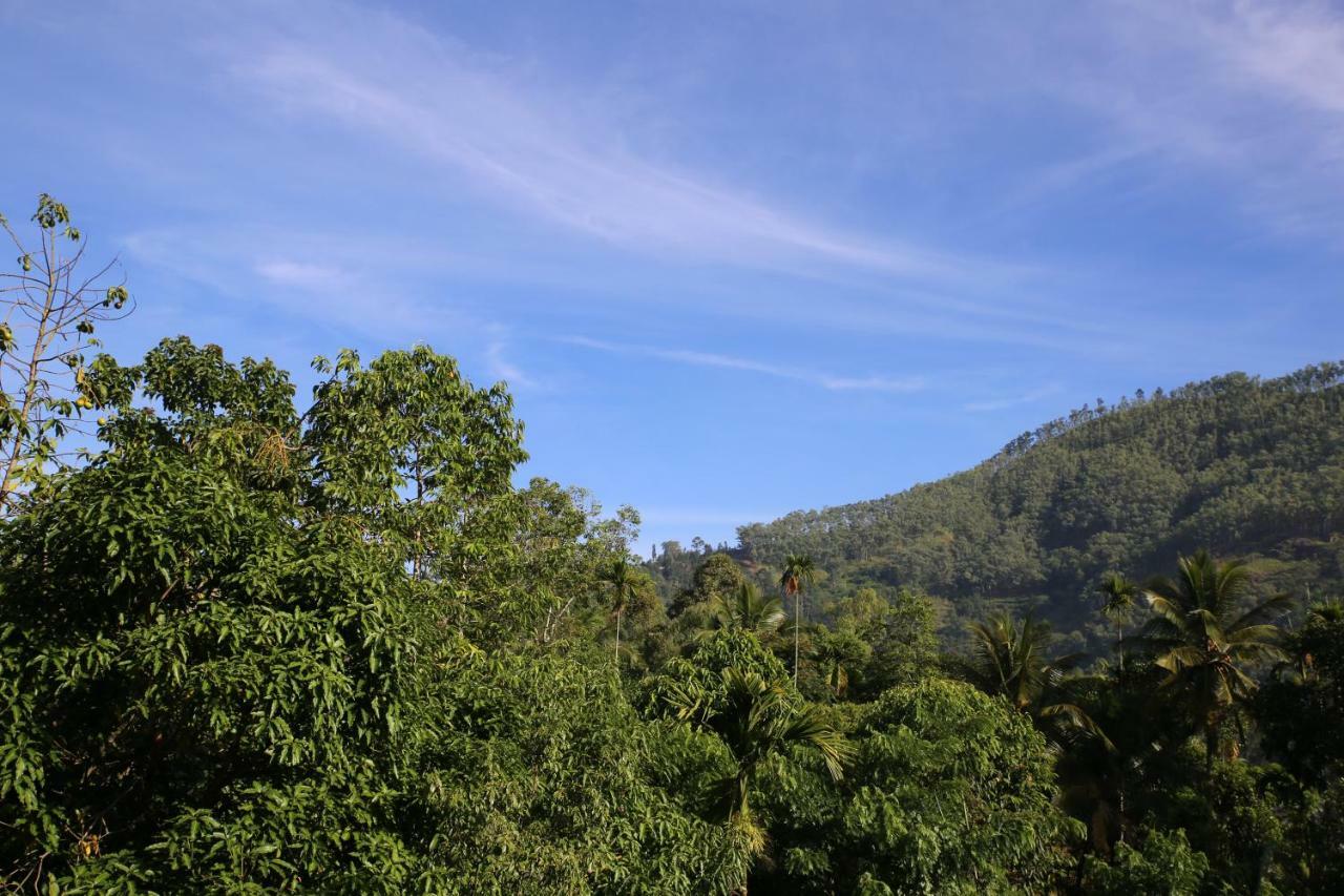 Sadula