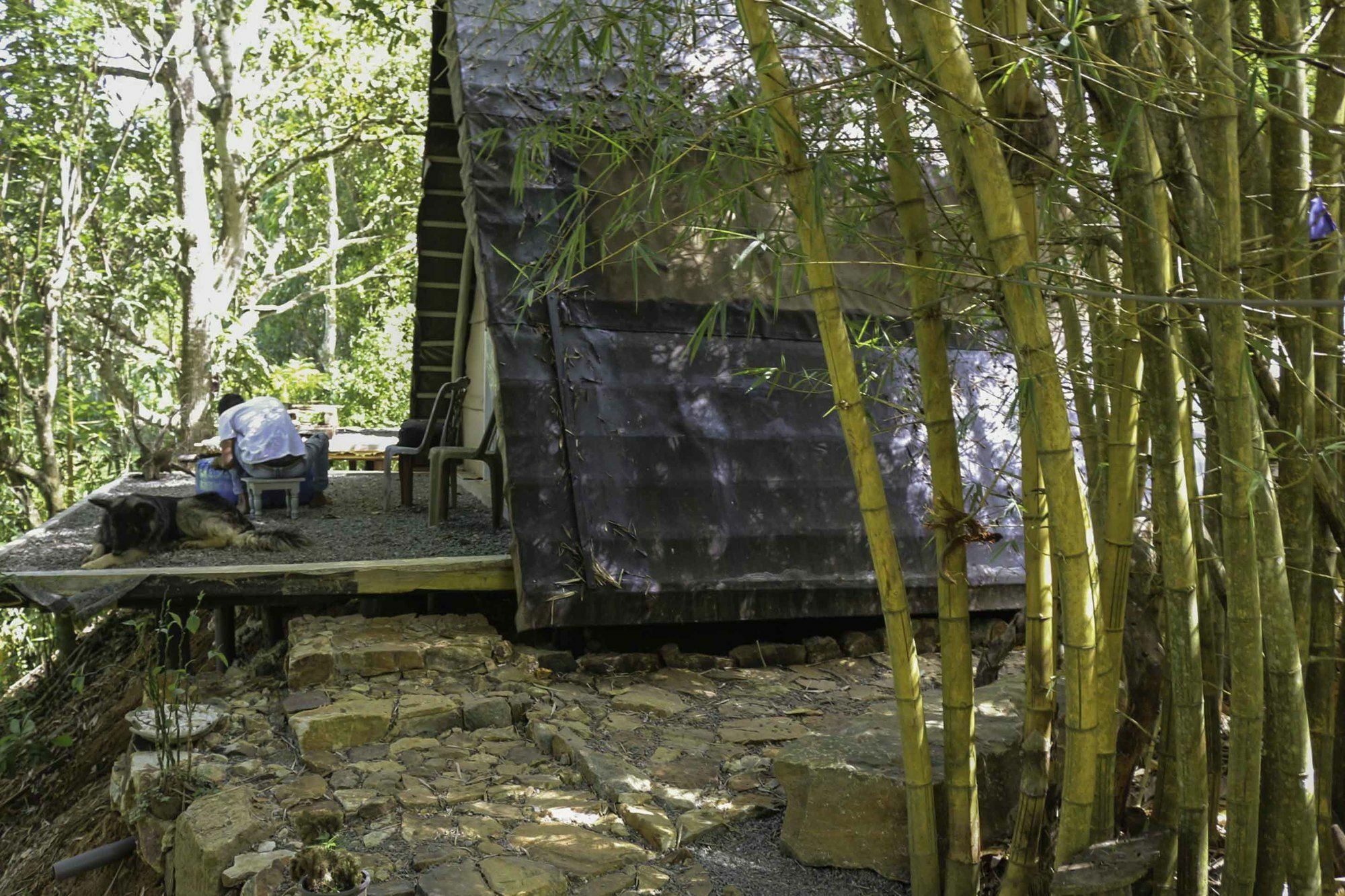 Moksha Eco Ella