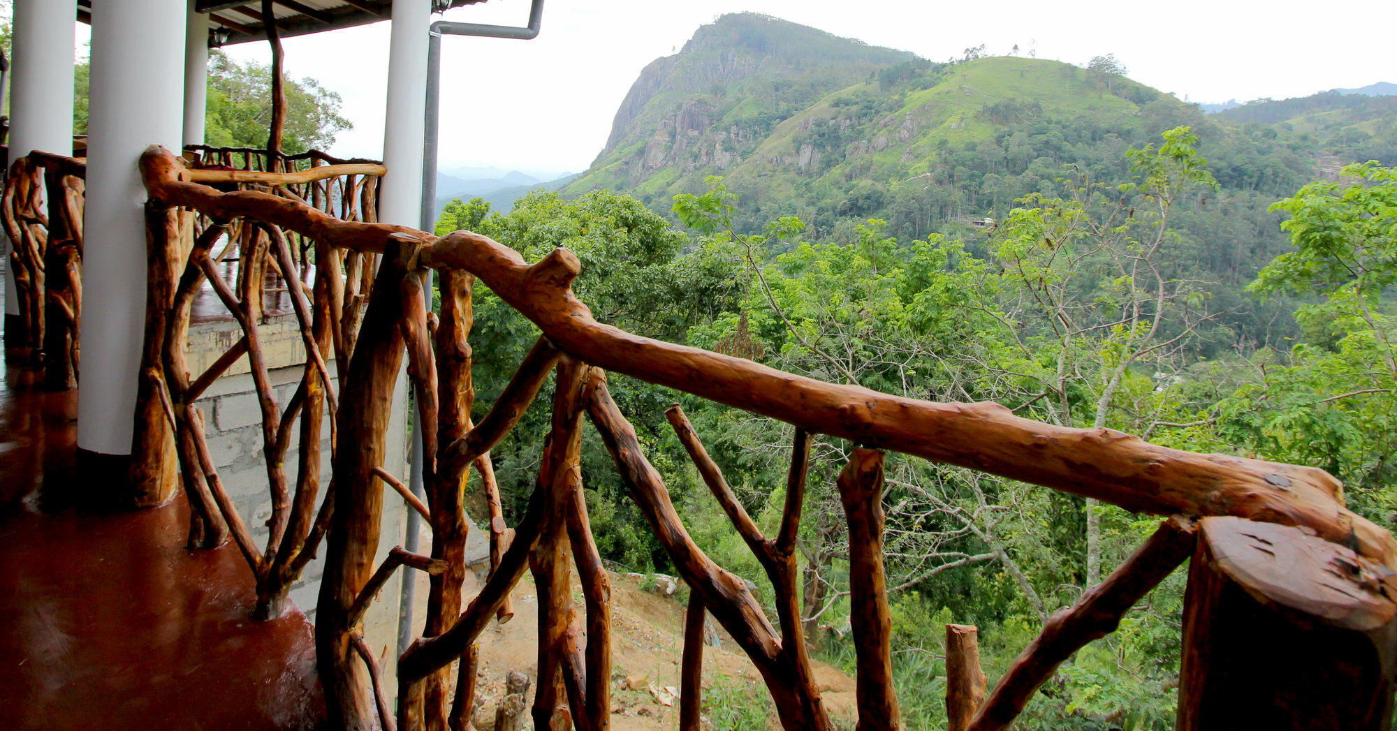 Mount Blue View Guest Ella