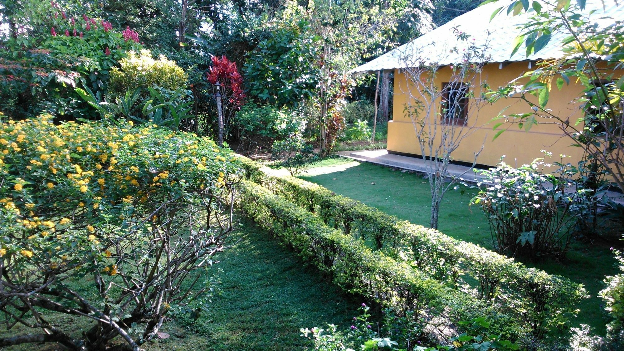 Sunnyside Homestay *