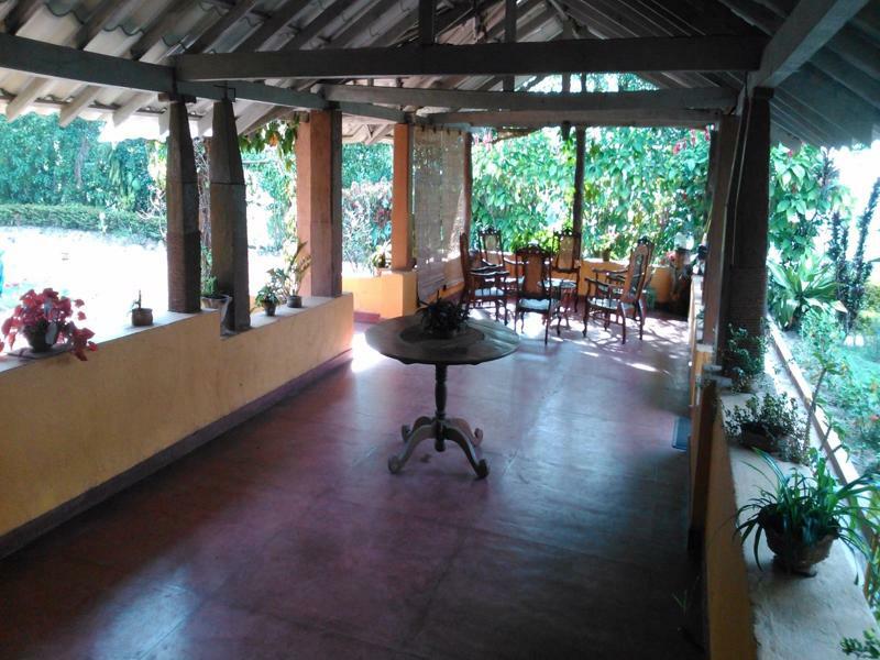 Homestay Sunnyside