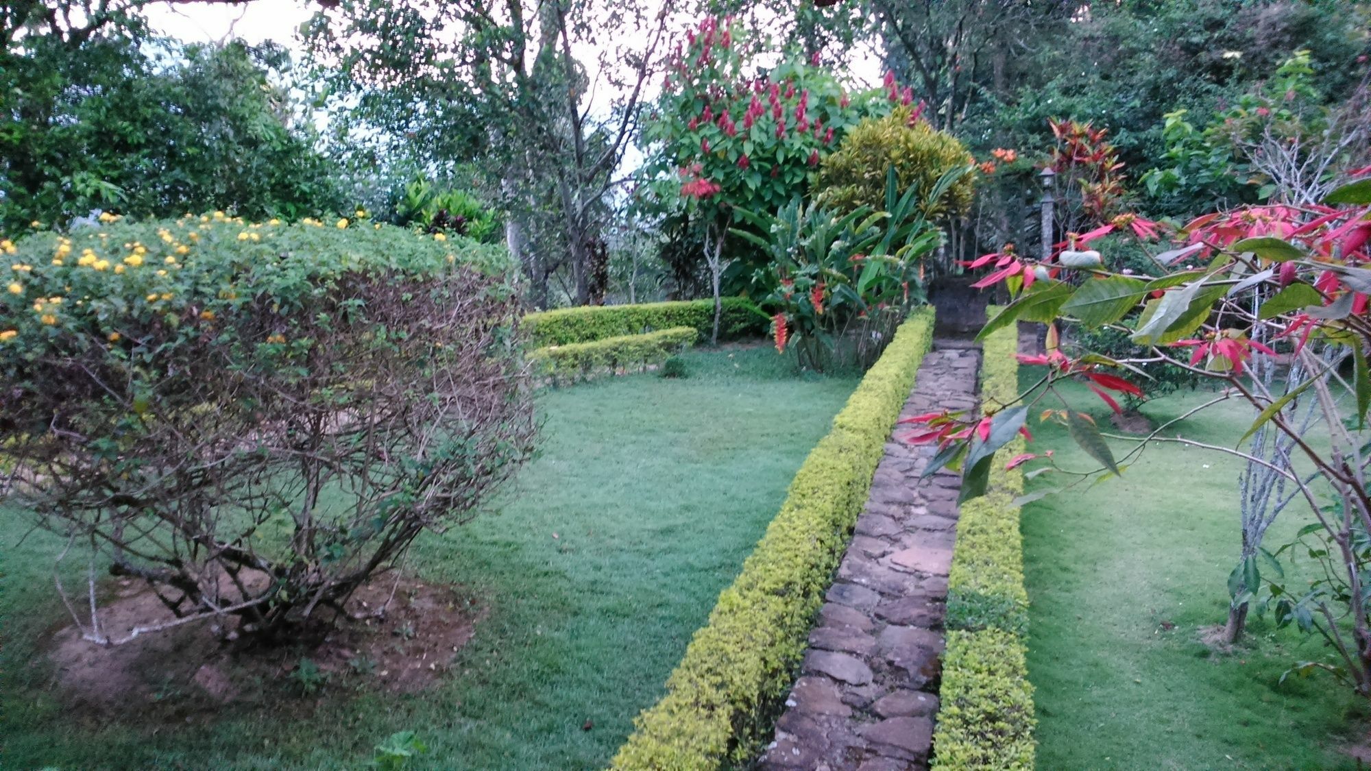 Sunnyside Homestay *