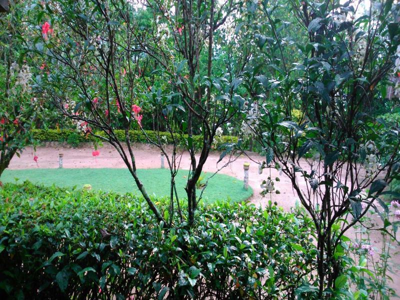 Homestay Sunnyside *