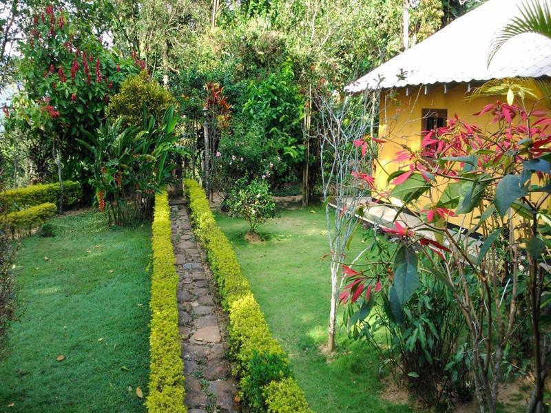 Homestay Sunnyside