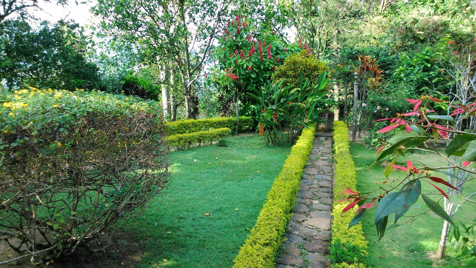 Sunnyside Homestay