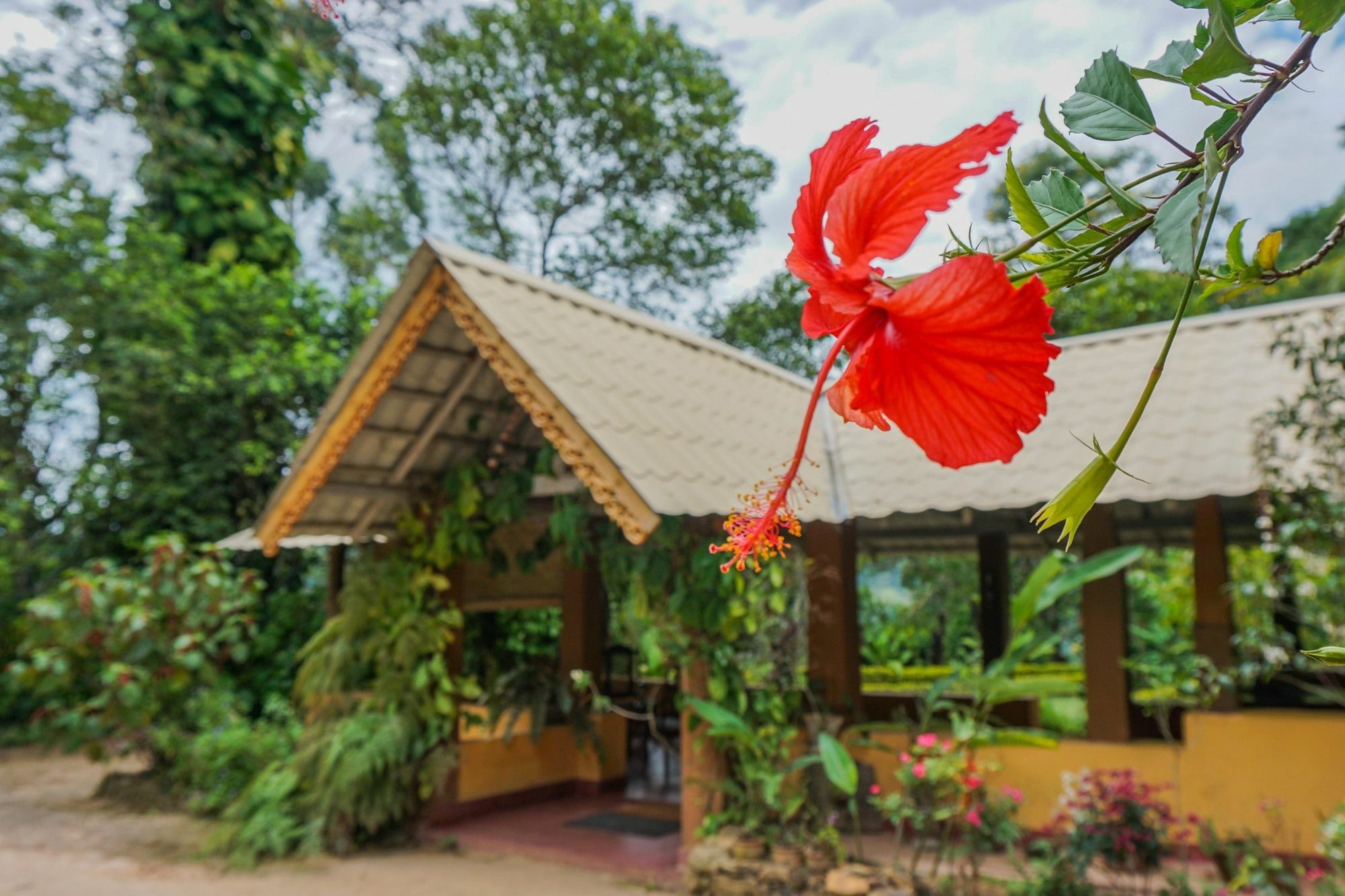 Sunnyside Homestay Ella