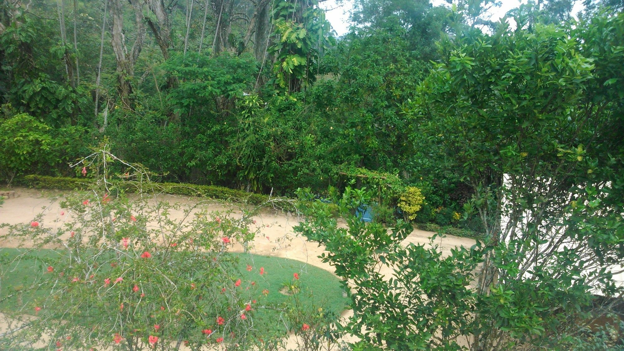 Sunnyside Homestay *