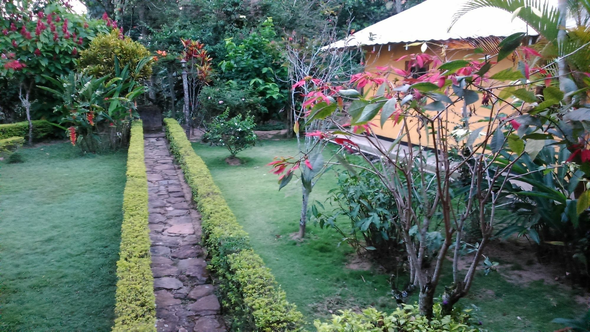Homestay Sunnyside Ella