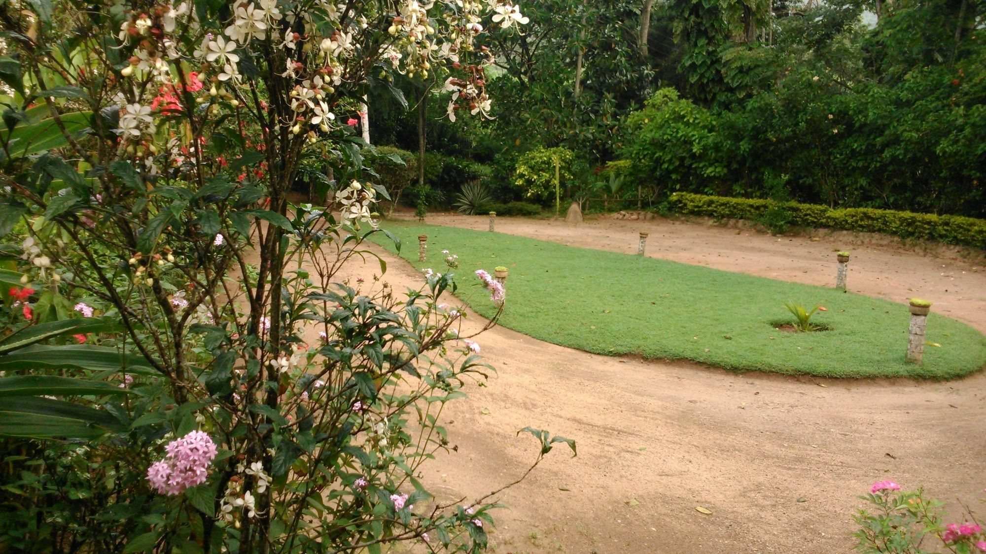 Sunnyside Homestay *