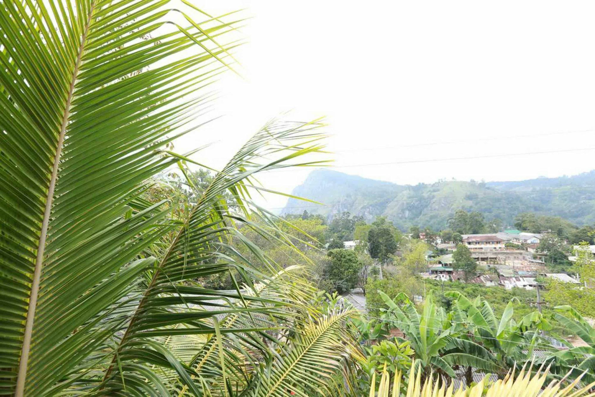 Ella Cloud Castle Homestay Homestay Ella