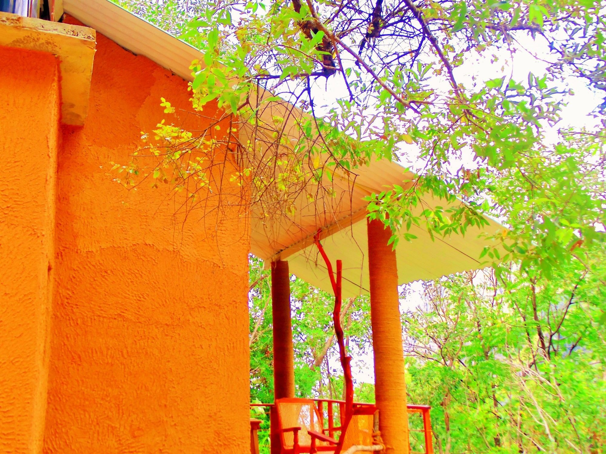 Ella Green Cottages Lodge Ella