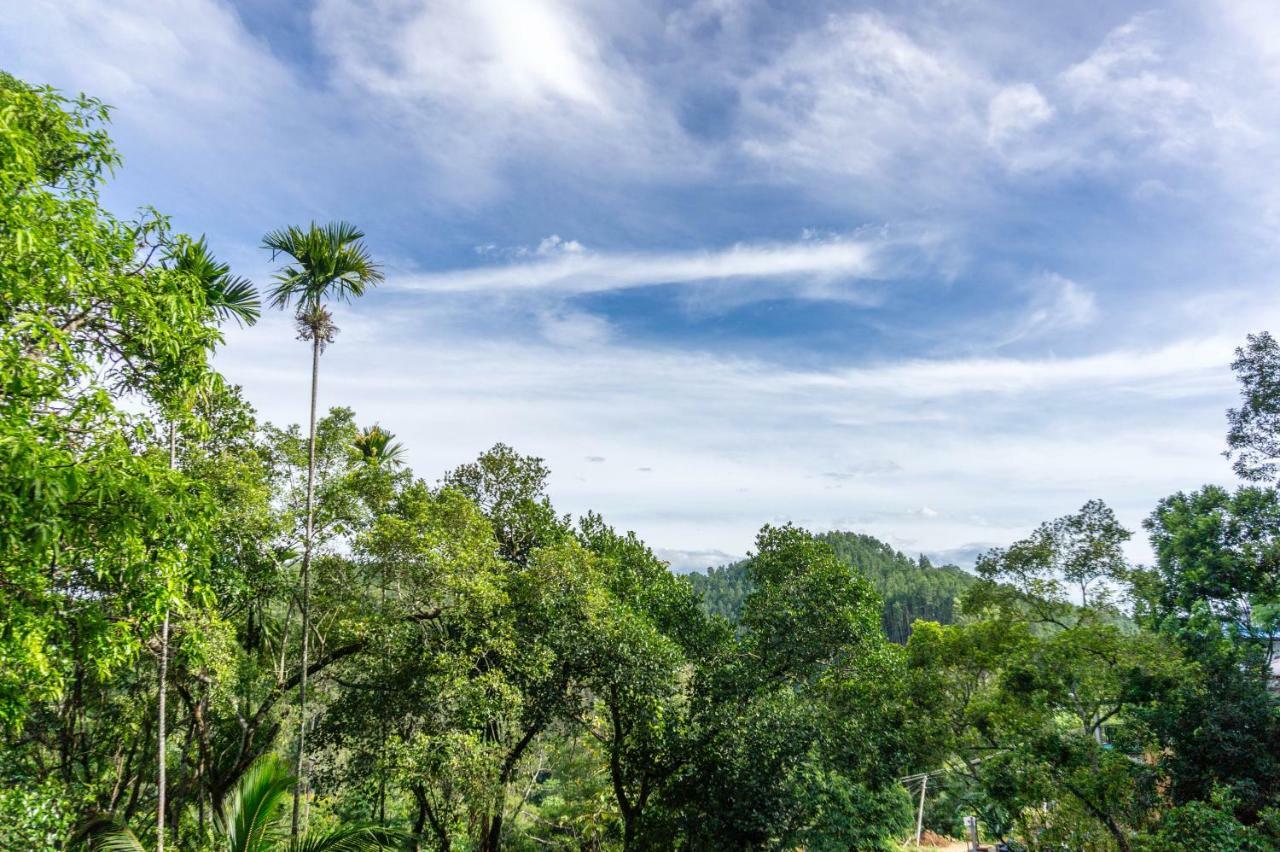 Samadhi Nature 3*