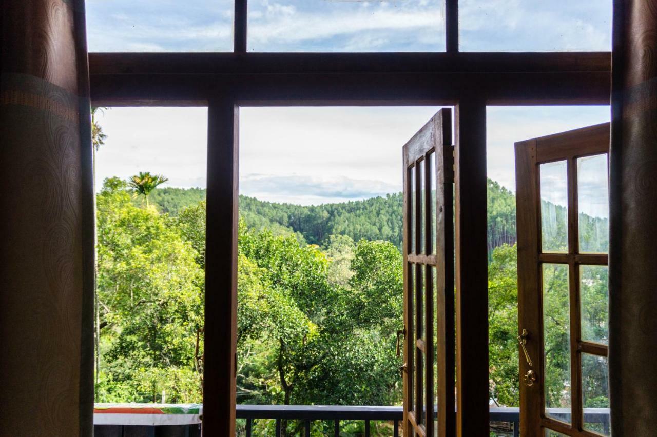 Samadhi Nature 3*