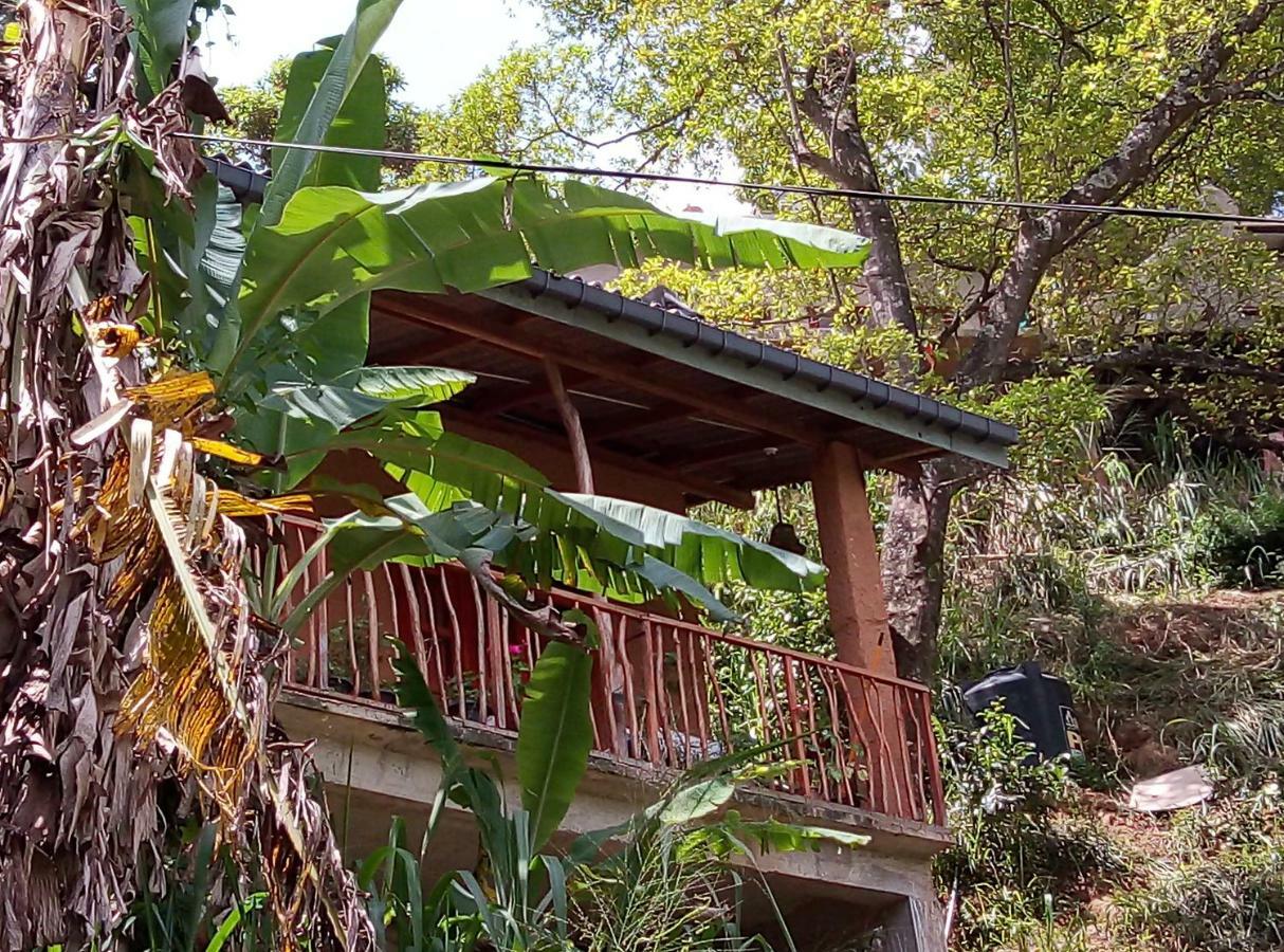 Bed & Breakfast Kavishka *