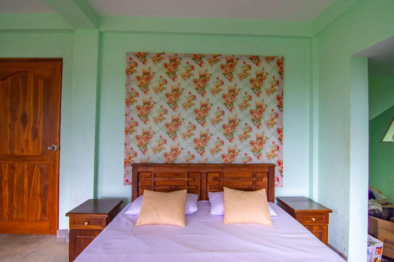 Butterfly Nest 3*