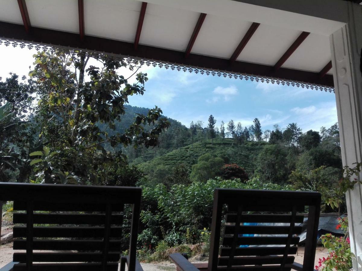 Homestay Village Nest
