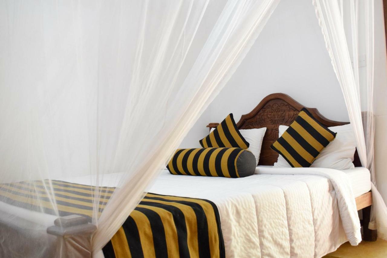 The Wisdom Bed & Breakfast