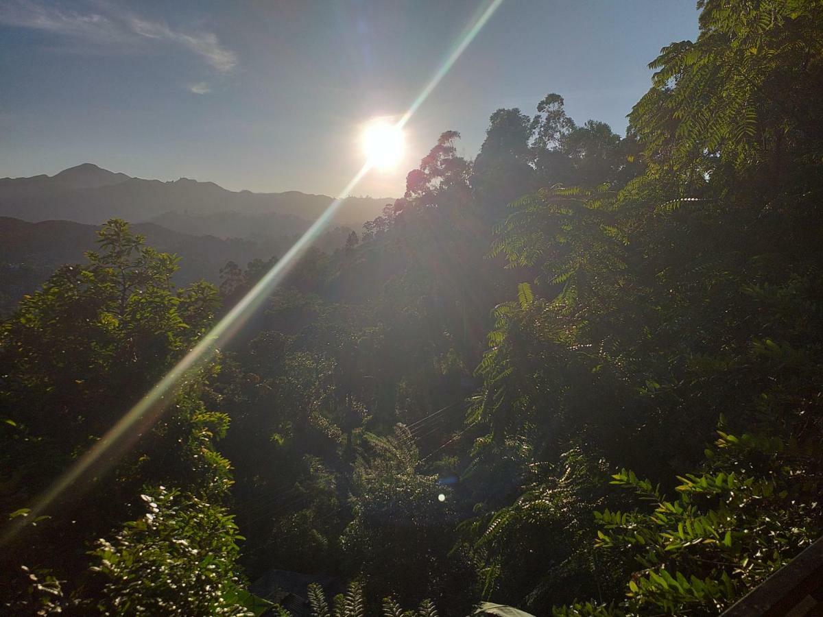 Serene Homestay