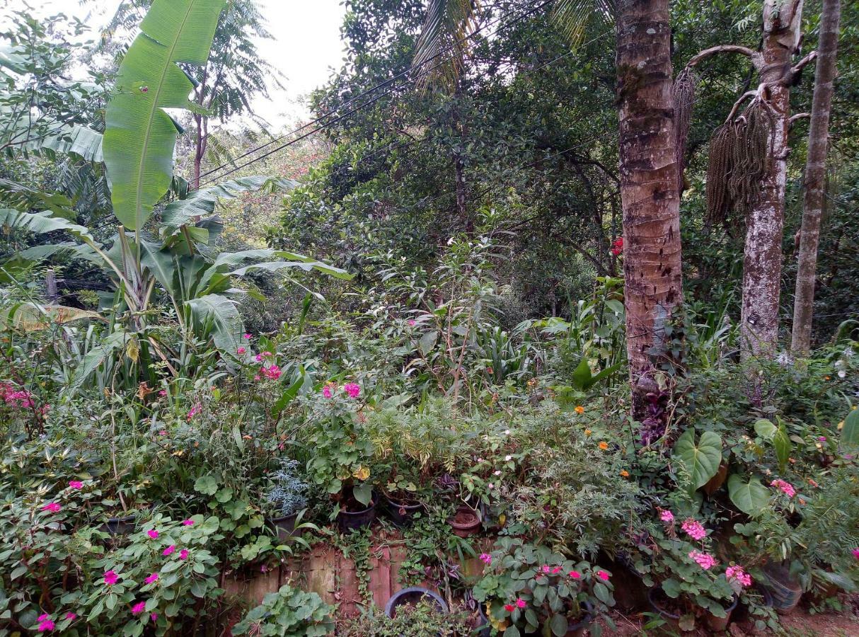 Kavishka *