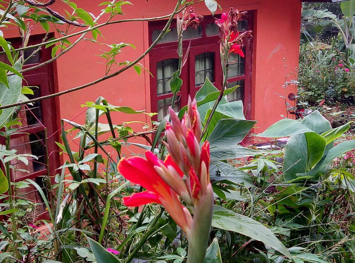 Kavishka Bed & Breakfast