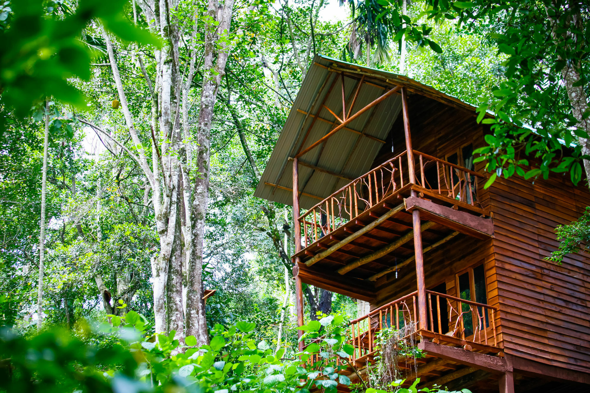 Ella Ecolodge Lodge Ella