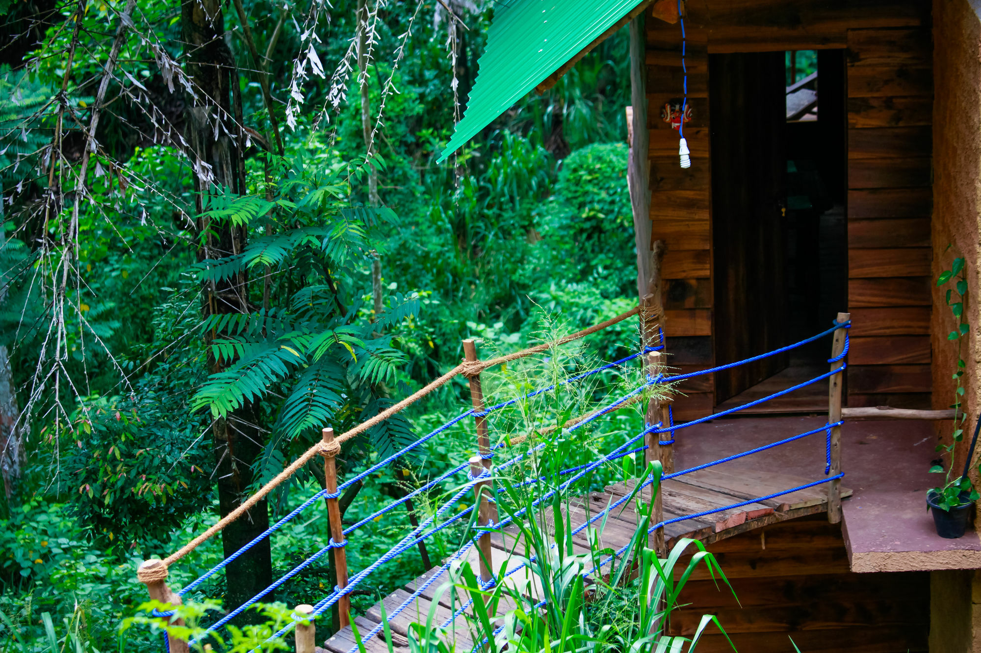 Ella Ecolodge * Ella