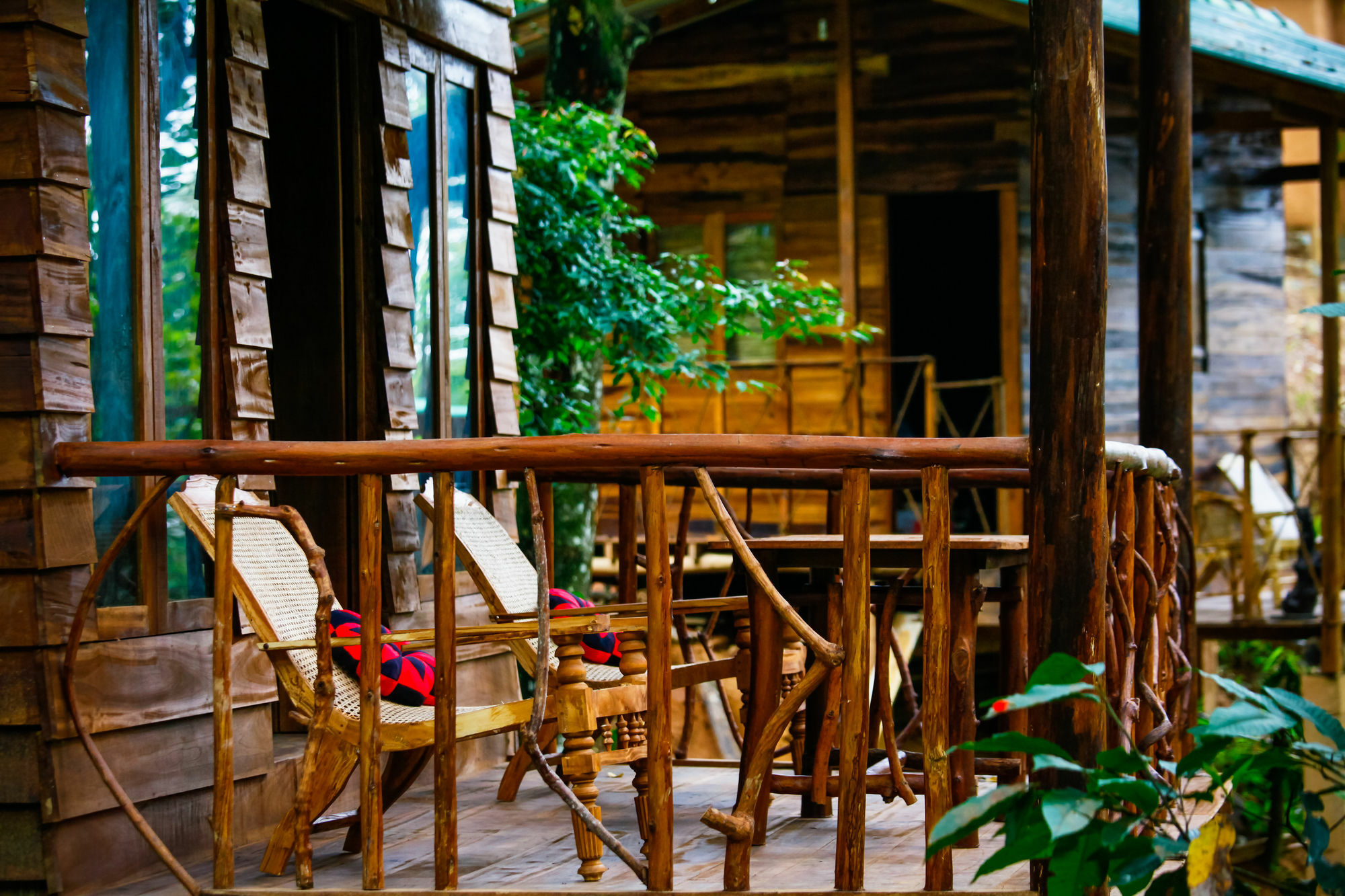 Ella Ecolodge Lodge